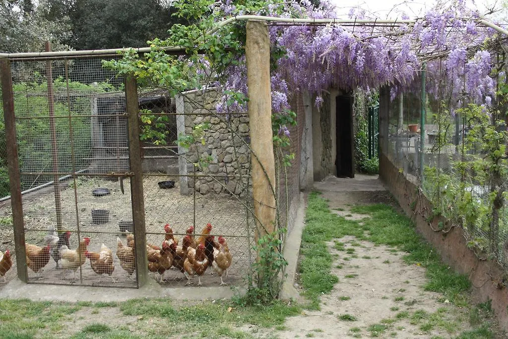 Country house Mas Duran Guest House La Pera